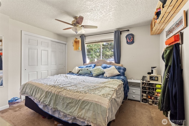 117 Maple Ave NW, Napavine, WA 98565 - photo 13