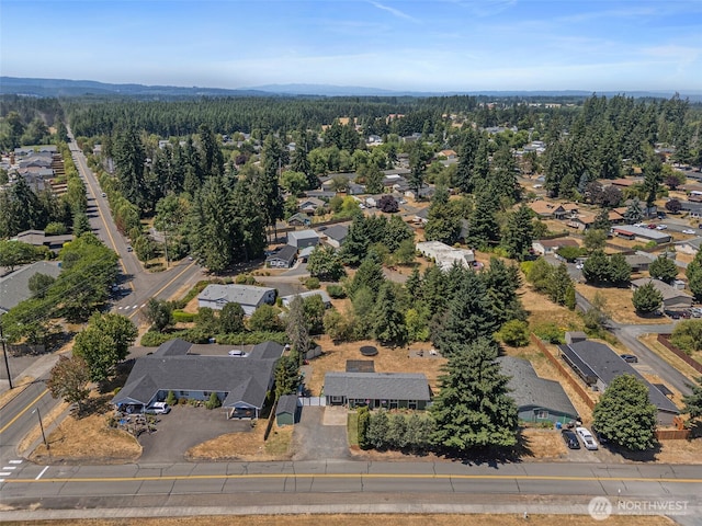 117 Maple Ave NW, Napavine, WA 98565 - photo 37