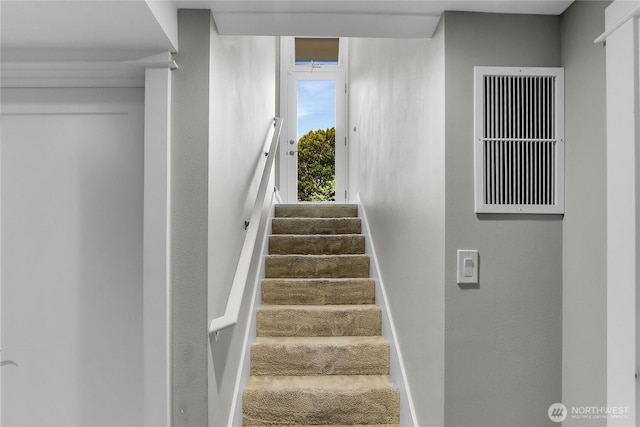 5020 47th Ave NE, Seattle, WA 98105 - photo 11