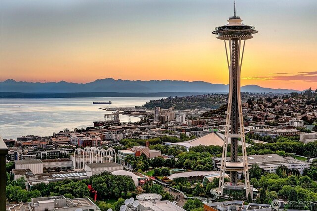 2510 6th Ave Unit 3507, Seattle, WA 98121 - photo 4