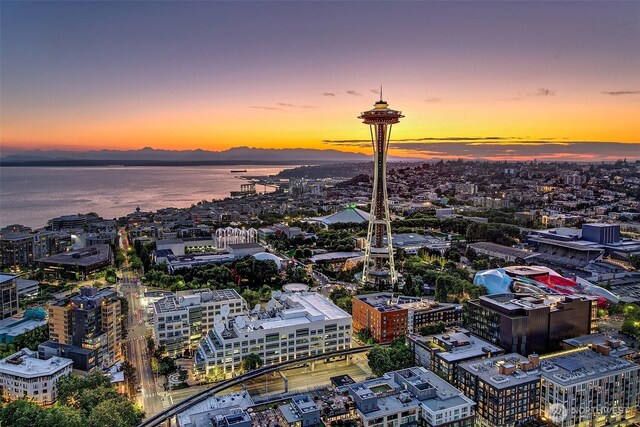2510 6th Ave Unit 3507, Seattle, WA 98121 - photo 40