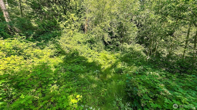 3108NHN Northshore Rd, Bellingham, WA 98226 - photo 14