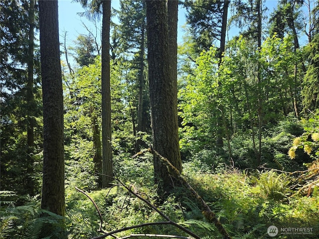 3108NHN Northshore Rd, Bellingham, WA 98226 - photo 17