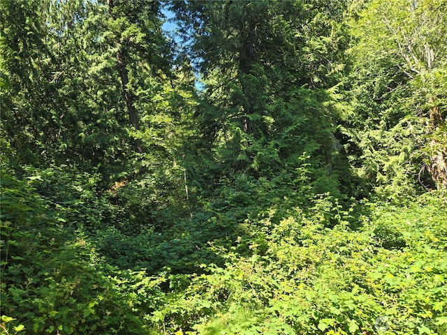 3108NHN Northshore Rd, Bellingham, WA 98226 - photo 21