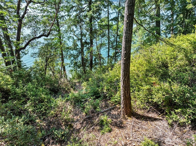 2311 NE Capstan Rock Rd, Tahuya, WA 98588 - photo 5
