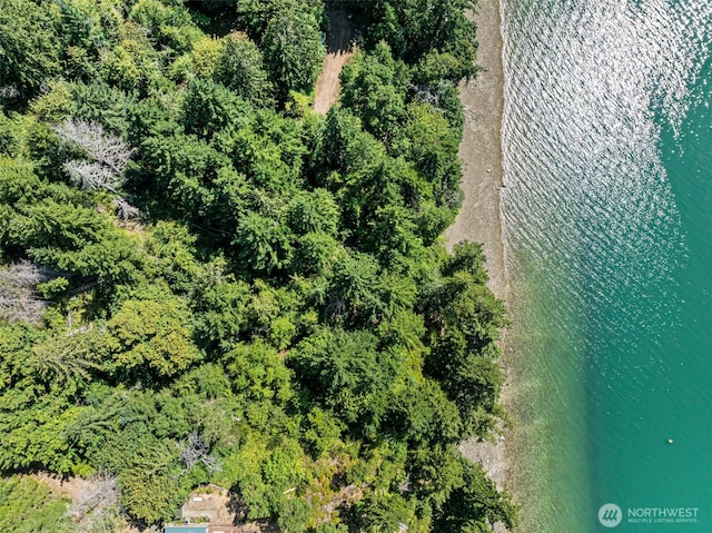 2311 NE Capstan Rock Rd, Tahuya, WA 98588 - photo 7