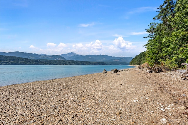 2311 NE Capstan Rock Rd, Tahuya, WA 98588 - photo 10
