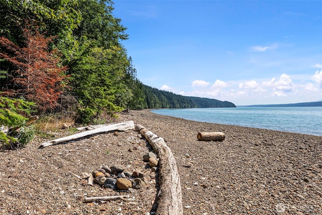 2311 NE Capstan Rock Rd, Tahuya, WA 98588 - photo 11