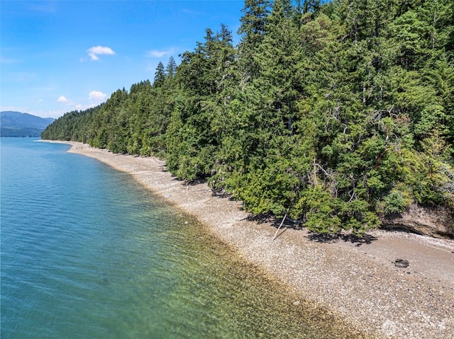2311 NE Capstan Rock Rd, Tahuya, WA 98588 - photo 12