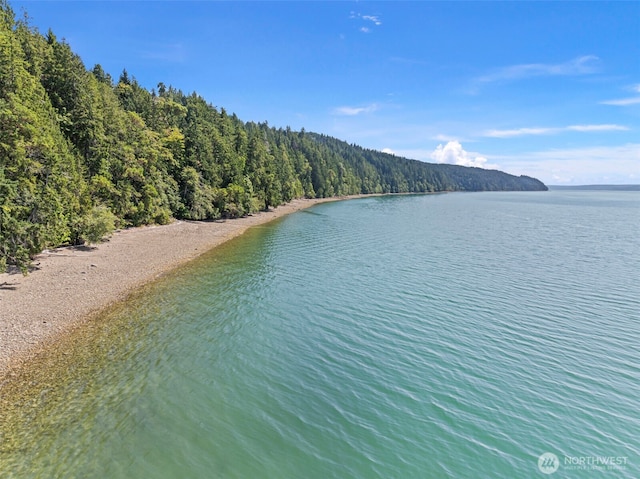 2311 NE Capstan Rock Rd, Tahuya, WA 98588 - photo 13