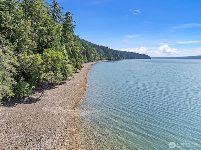 2311 NE Capstan Rock Rd, Tahuya, WA 98588 - photo 14