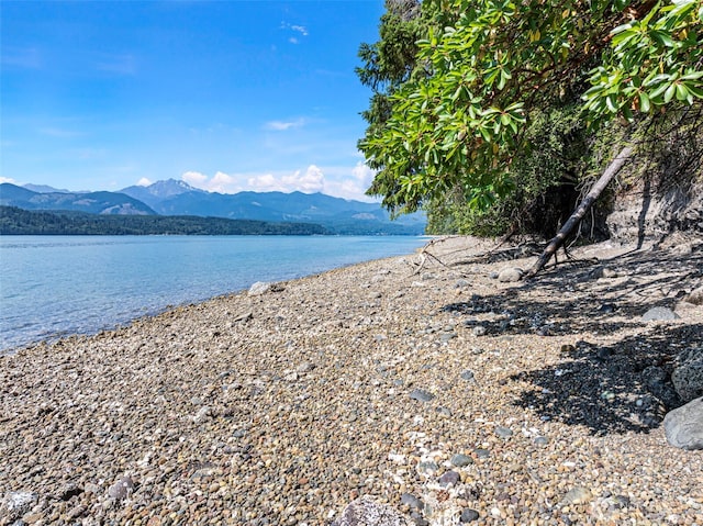 2311 NE Capstan Rock Rd, Tahuya, WA 98588 - photo 15