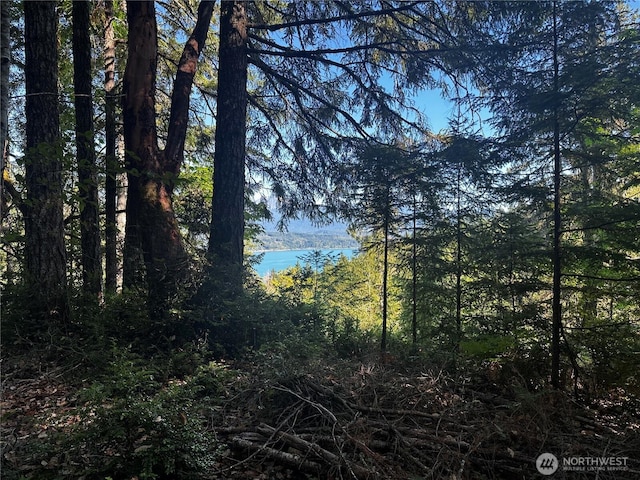 2311 NE Capstan Rock Rd, Tahuya, WA 98588 - photo 16