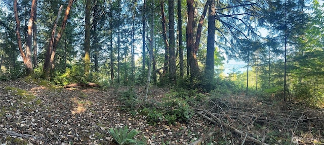 2311 NE Capstan Rock Rd, Tahuya, WA 98588 - photo 18