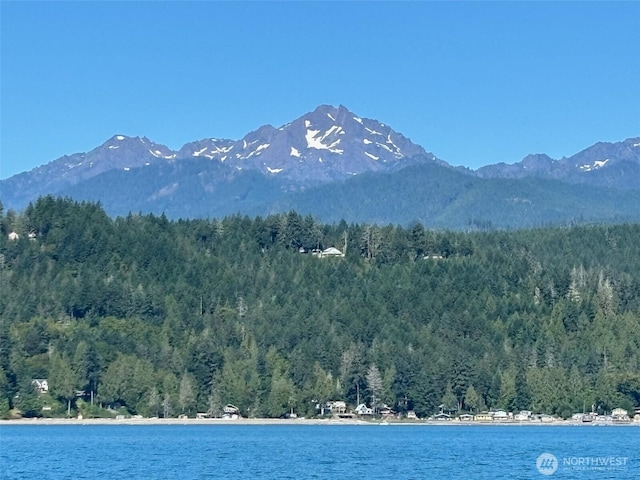 2311 NE Capstan Rock Rd, Tahuya, WA 98588 - photo 19