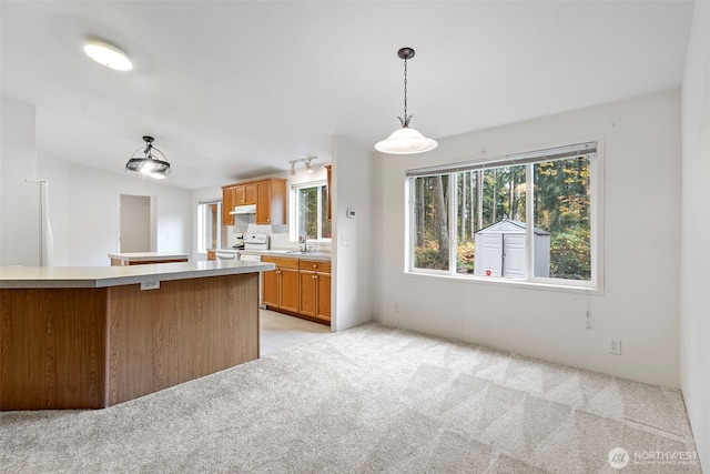 20212 Orting Kapowsin Hwy E, Graham, WA 98338 - photo 8