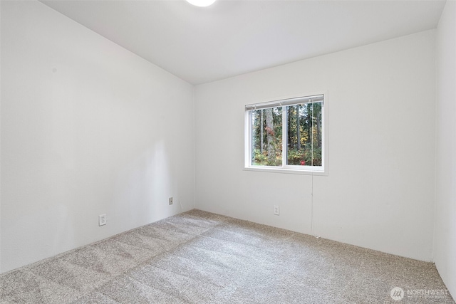 20212 Orting Kapowsin Hwy E, Graham, WA 98338 - photo 21