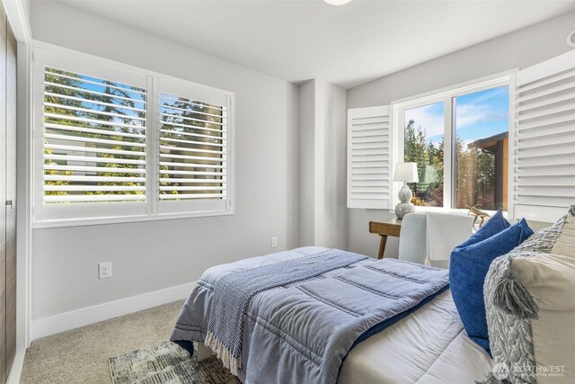 535 Fremont Walk SE, Sammamish, WA 98074 - photo 26