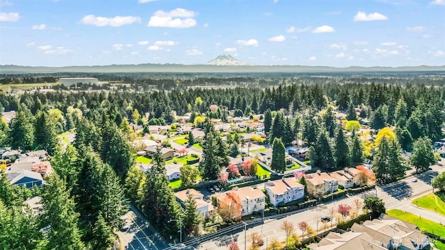 4001 Flora Dr, Fircrest, WA 98466 - photo 25