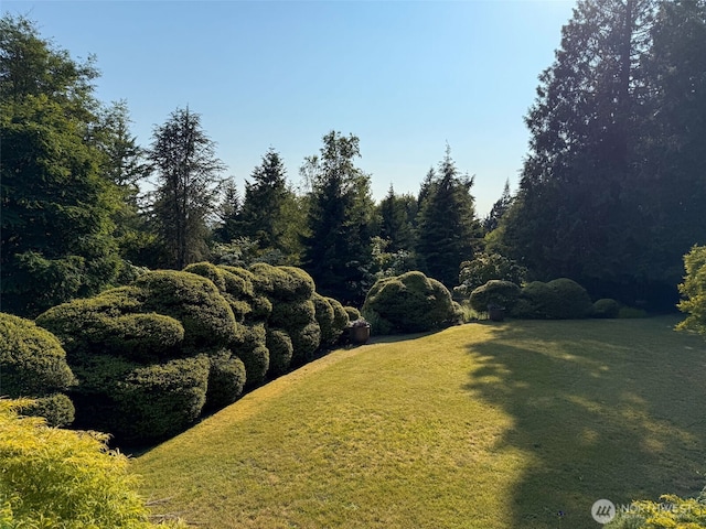 3643 Dosewallips Ln, Clinton, WA 98236 - photo 38