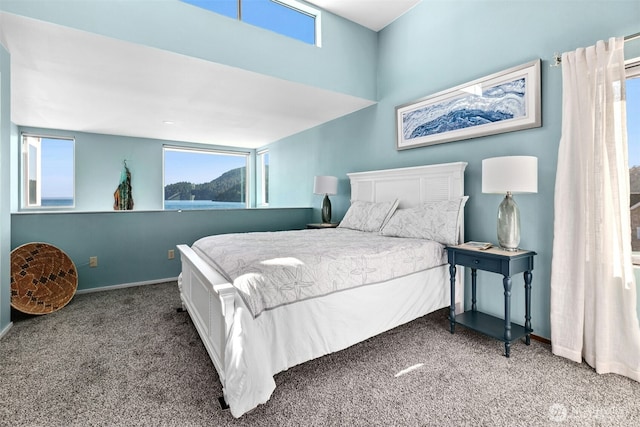 2301 Skyline Way Unit 1, Anacortes, WA 98221 - photo 15