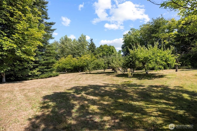 299 E Axton Rd, Bellingham, WA 98226 - photo 19