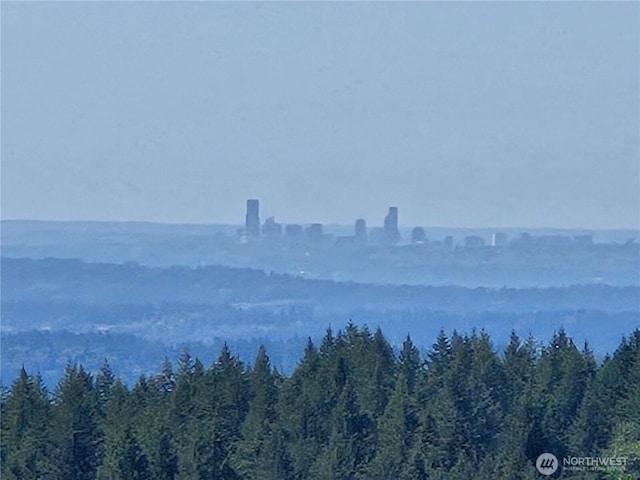 228XX W King Lake Rd, Monroe, WA 98272 - photo 1