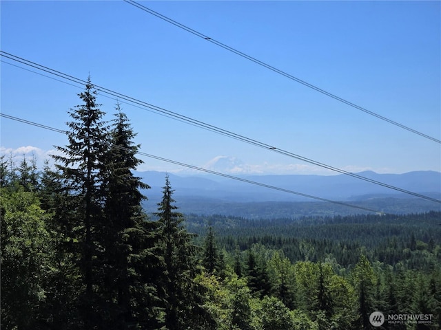 228XX W King Lake Rd, Monroe, WA 98272 - photo 2