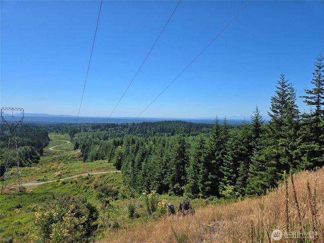 228XX W King Lake Rd, Monroe, WA 98272 - photo 8
