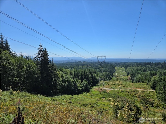 228XX W King Lake Rd, Monroe, WA 98272 - photo 9