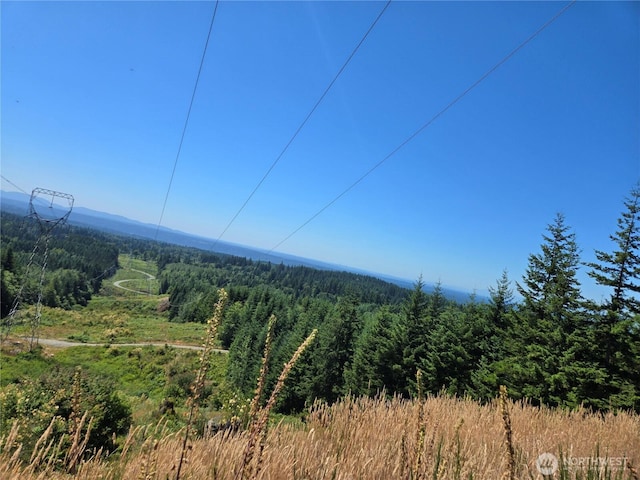 228XX W King Lake Rd, Monroe, WA 98272 - photo 10