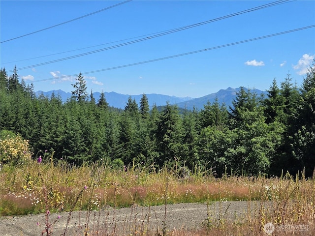 228XX W King Lake Rd, Monroe, WA 98272 - photo 12
