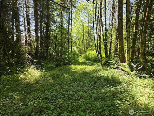 228XX W King Lake Rd, Monroe, WA 98272 - photo 14
