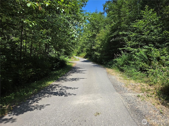 228XX W King Lake Rd, Monroe, WA 98272 - photo 16