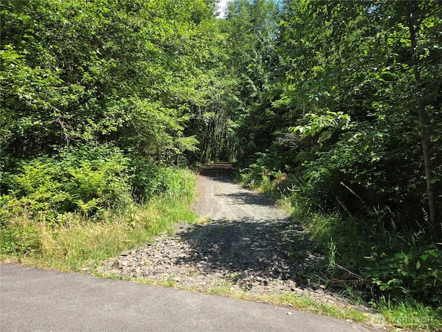 228XX W King Lake Rd, Monroe, WA 98272 - photo 18
