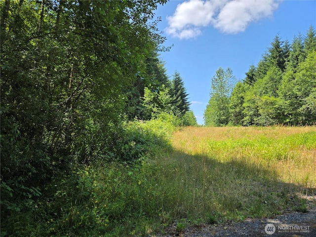 228XX W King Lake Rd, Monroe, WA 98272 - photo 19
