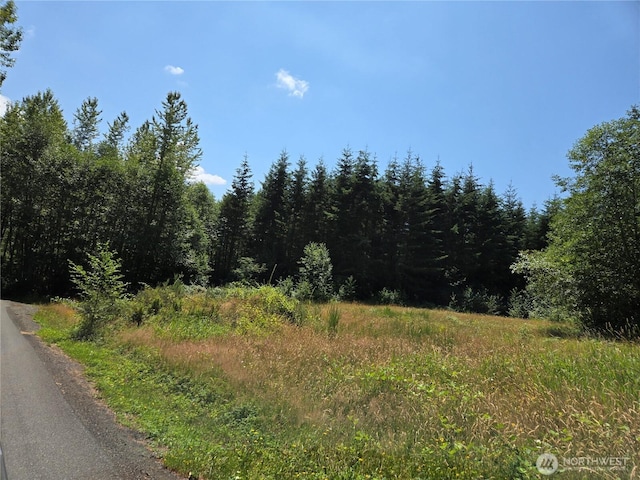 228XX W King Lake Rd, Monroe, WA 98272 - photo 20