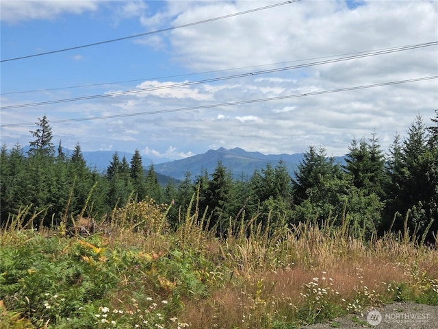 228XX W King Lake Rd, Monroe, WA 98272 - photo 22