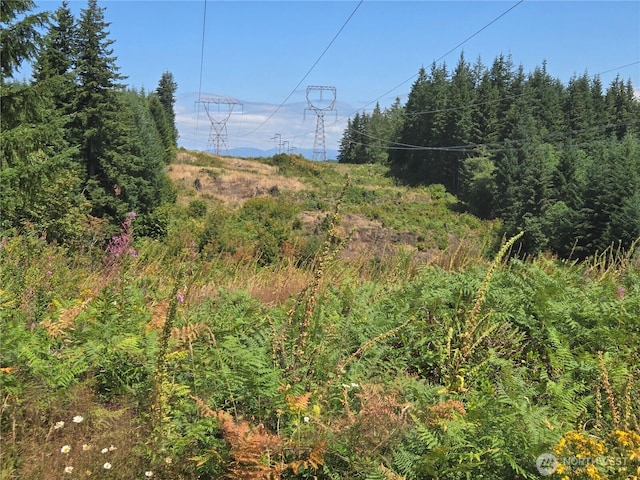 228XX W King Lake Rd, Monroe, WA 98272 - photo 23