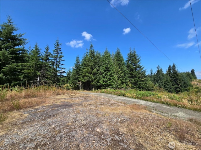 228XX W King Lake Rd, Monroe, WA 98272 - photo 24