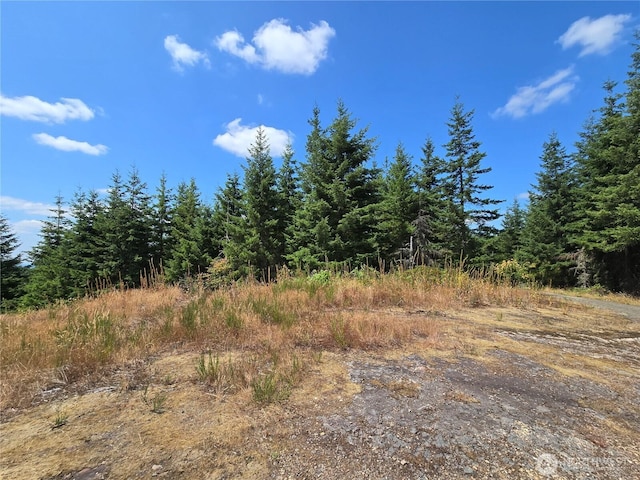 228XX W King Lake Rd, Monroe, WA 98272 - photo 25