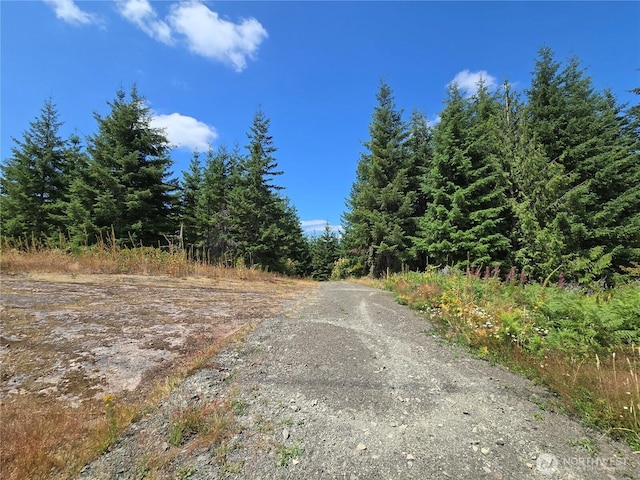 228XX W King Lake Rd, Monroe, WA 98272 - photo 26