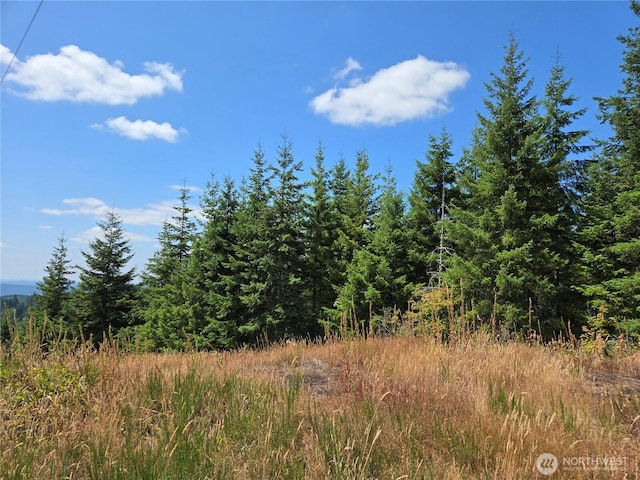 228XX W King Lake Rd, Monroe, WA 98272 - photo 27