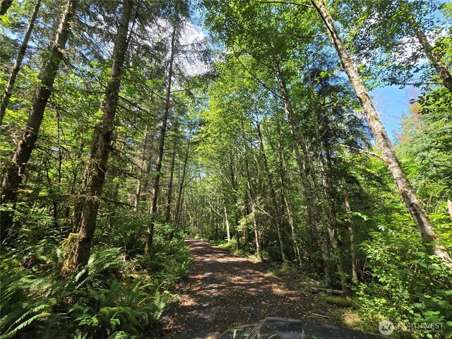 228XX W King Lake Rd, Monroe, WA 98272 - photo 28