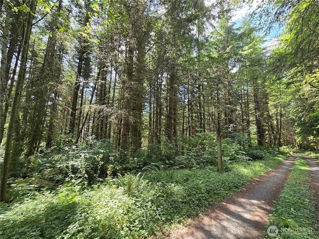 228XX W King Lake Rd, Monroe, WA 98272 - photo 32
