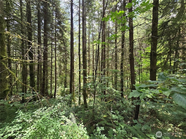 228XX W King Lake Rd, Monroe, WA 98272 - photo 33