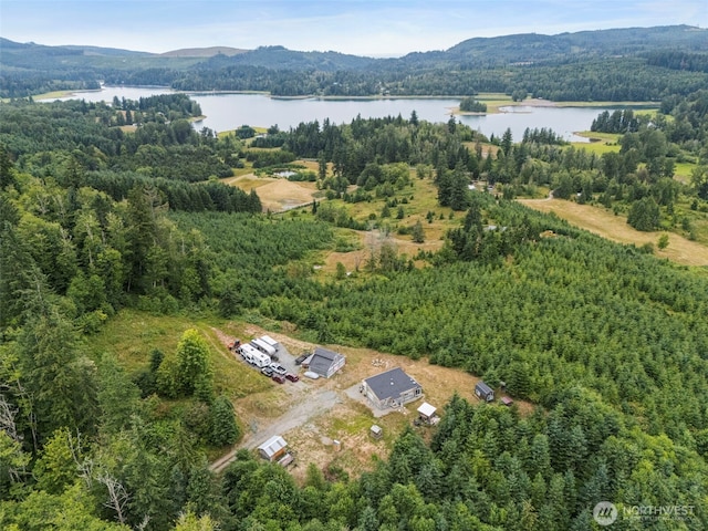 52008 Lillie Dale Rd E, Eatonville, WA 98328 - photo 1
