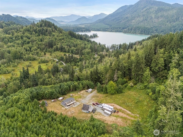 52008 Lillie Dale Rd E, Eatonville, WA 98328 - photo 2