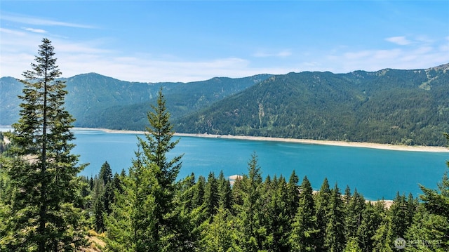 0 Carillon Cove Dr, Ronald, WA 98940 - photo 1
