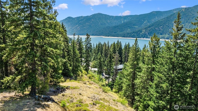 0 Carillon Cove Dr, Ronald, WA 98940 - photo 4